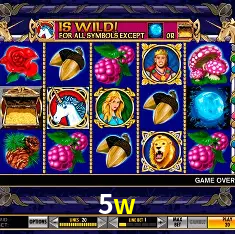 5w Rio de Janeiro - Bonus Terms